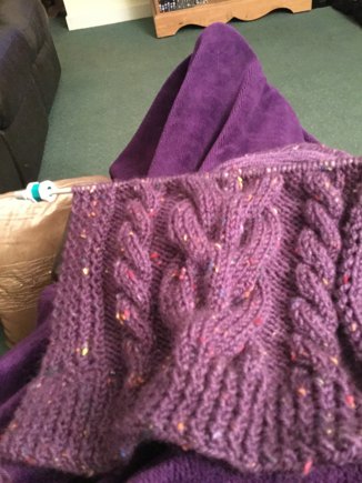 Ladies Aran cardigan #3