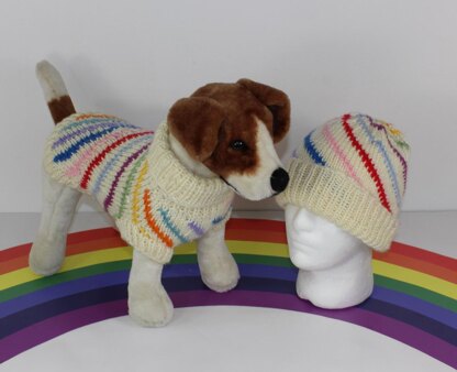 Chunky Swirl Stripe Dog Coat & Matching Beanie Hat