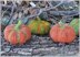 Pumpkin Knitting Pattern Easy Halloween Pumpkin Ornament