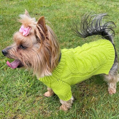 Lime Dog or Cat Sweater