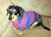 Lena's Miniature Dachshund Dog Sweater