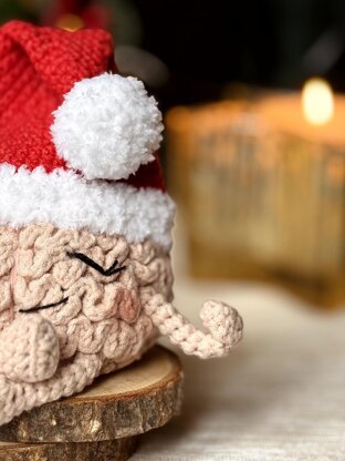 Christmas Zen meditating brain