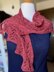Inverted Shawl