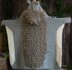 Hooded Woodland Squirrel Blanket