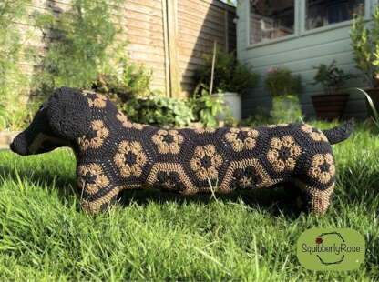 Desmond the African Flower Dachshund Dog