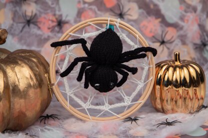 Deramores Spider and Web PDF