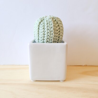 FREE Crochet Succulent/Cactus