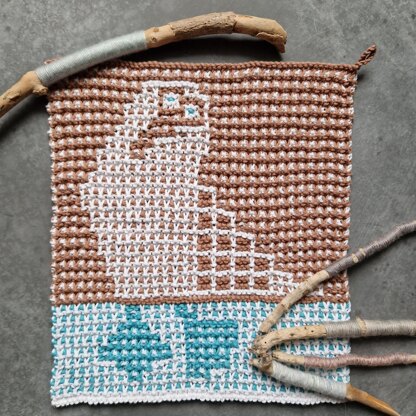 Blue-footed booby washcloths