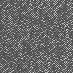 Graphite