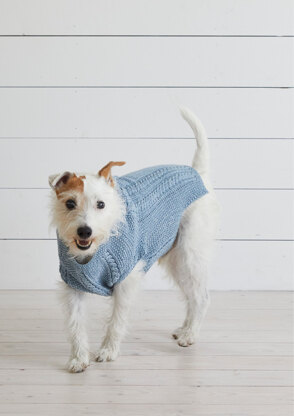 Bond & co hotsell henley knit dog sweater