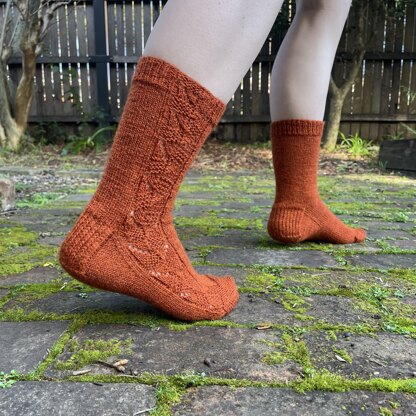 Gingernut Socks TJD15