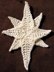 Moravian Star of Bethlehem Christmas Ornament