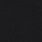 Black (E134-1019 BLACK)