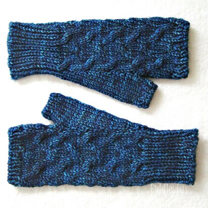 Tashmoo mitts