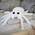 Couch Potato Spider