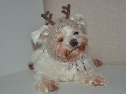 Reindeer dog hood, Crochet Pattern PDF, Size: XS for small dog. Language - English