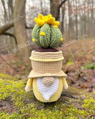 Gnome succulent (cactus)