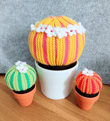 Stripy Ball Cacti