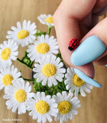 Chamomile flower and ladybug