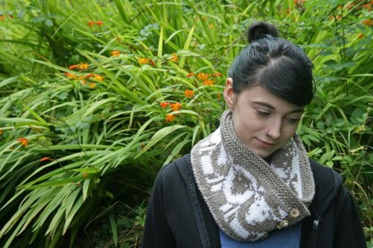 Cosy Sheep Cowl