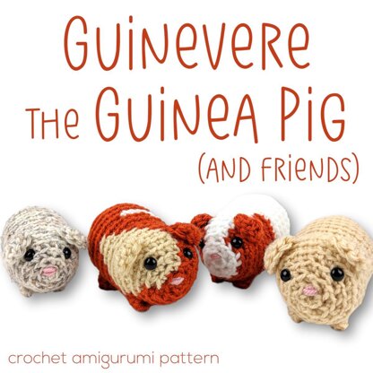 Guinevere the Guinea Pig