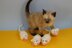 3 Blind Mice Kitten Toy