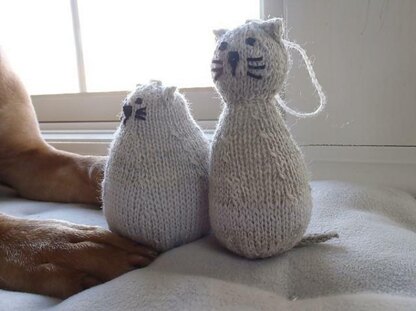 Poor Felines.