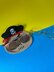 Pirate Eyeglass Holder