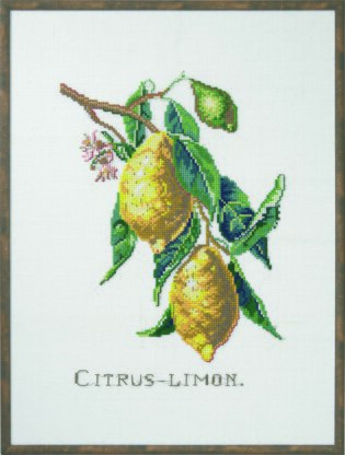 Permin Citrus-Lemon Cross Stitch Kit - 29 x 39 cm