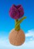 Tulip Chocolate Orange Cosy