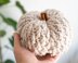The Cozy Pumpkin
