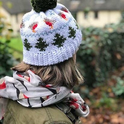 Winter Robin Beanie