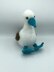 Bobby the Blue-footed Booby