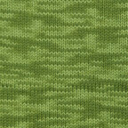 Forest Canopy (5227)