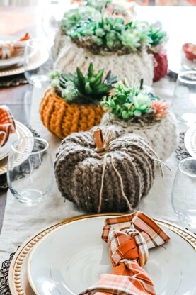 Succulent Pumpkin Cozy