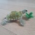 Green turtle (and sea grass)