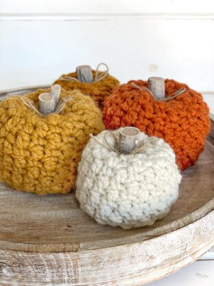 Sugar Pumpkins 079