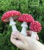 Fly agaric mushrooms