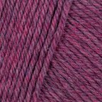 Fuschia (02)