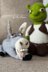 Donkey knitting pattern. Knitted donkey friend Shrek
