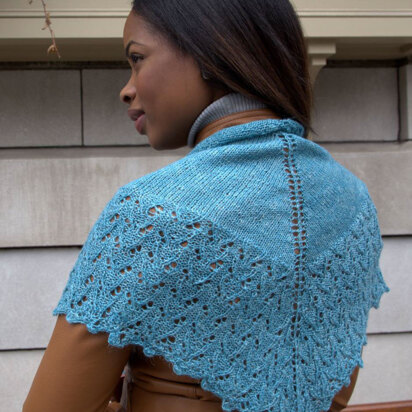 Shawl in Plymouth Yarn Linaza - F619 - Downloadable PDF