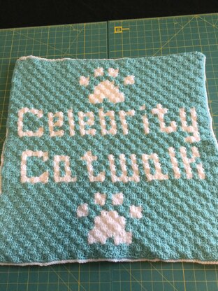 Celebrity Catwalk Blanket