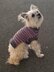 Snazzy Stripes Dog Sweater - XS,S, M