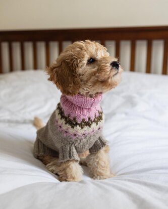 Dog Yoke Sweater Kit