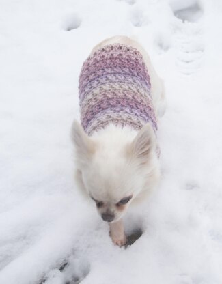 Criss cross dog sweater in 3 sizes