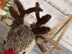 Rudolph Inspired Chocolate Orange Cover Knitting Pattern
