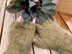 Feather Brushed Mitts