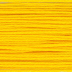 Daisy Yellow (39)