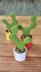 Prickly pear cactus