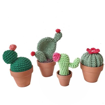 Cactus Amigurumi Bundle